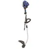 Da einhell il tagliabordi bg-pt 2538