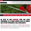 In linea il nuovo sito shindaiwa