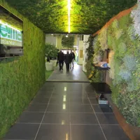 Le ultime notizie da eima green