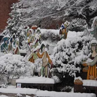 Il natale nei parchi piu’ belli d’italia