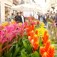 Torna a brescia brixia florum