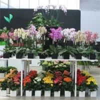 Florbusiness 2013: un segnale positivo