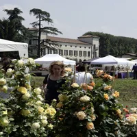In maggio franciacorta in fiore