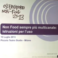Osservatorio non food 2013