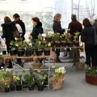 Un soffio di primavera