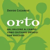 Orto: dal balcone al campo