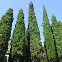 Myplant & garden per la filiera del verde