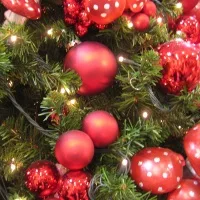 Buon natale e felice 2015 da mg