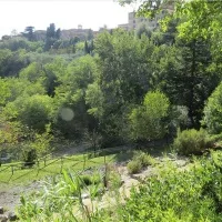Un natale all’orto botanico di siena
