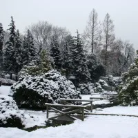 I parchi più belli d’italia innevati