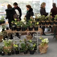 Un soffio di primavera