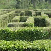 Gardening: in ripresa il mercato italia