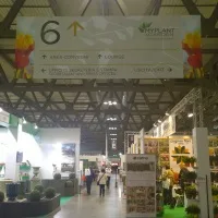 8500 visitatori per myplant