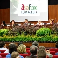 Il verde come nutrimento del pianeta