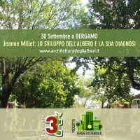 Architettura degli alberi con jeanne millet