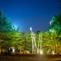 Otto nuovi grandi giardini italiani
