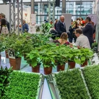 Flora trade show 2016 a settembre
