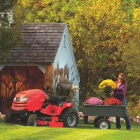L’autunno di briggs & stratton