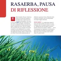 Rasaerba: l’inchiesta di mg
