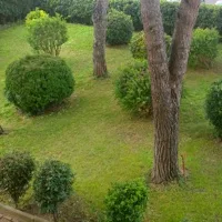 A milano gli stati generali del verde pubblico