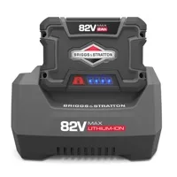 Una potenza tutta nuova da Briggs & Stratton