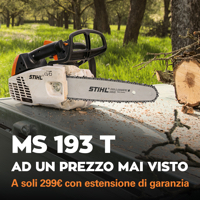 Stihl MS 193 T a un prezzo mai visto - MG Marketing Giardinaggio