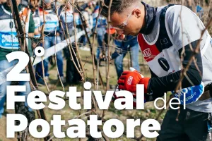 festival potatore