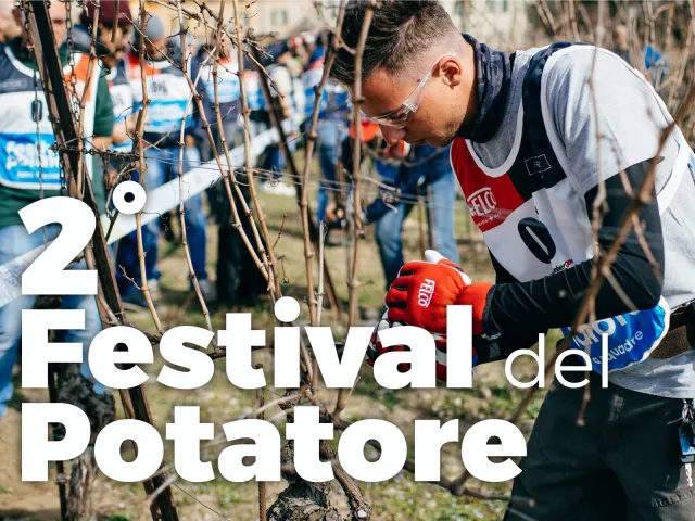 festival potatore