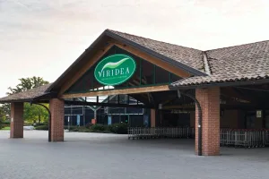 viridea