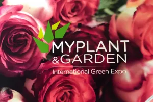 myplant