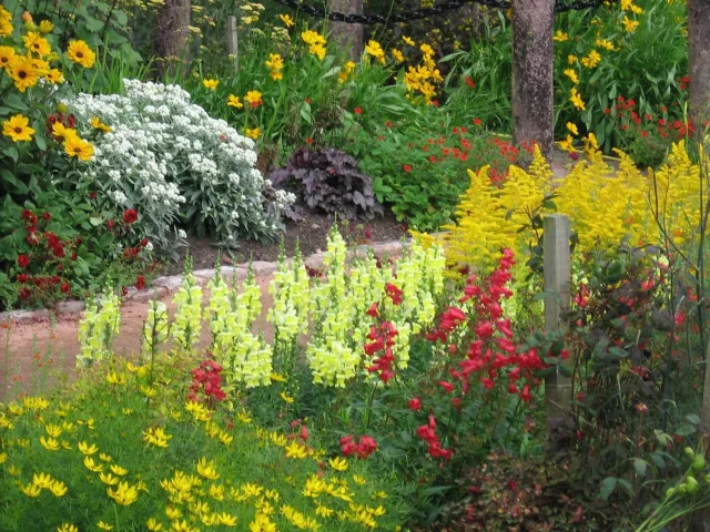 fiori