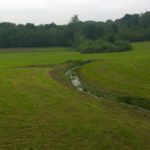 campo