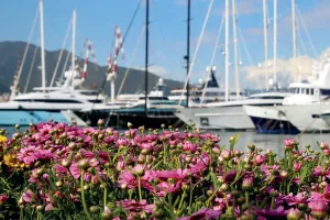 yacht & garden a Genova