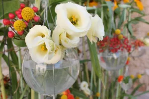 fiori