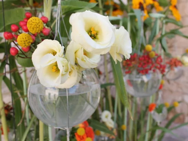 fiori