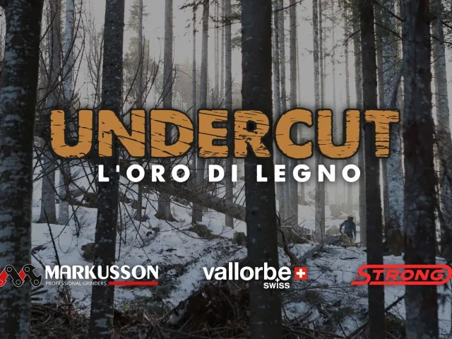Sabart in TV nel programma “Undercut”