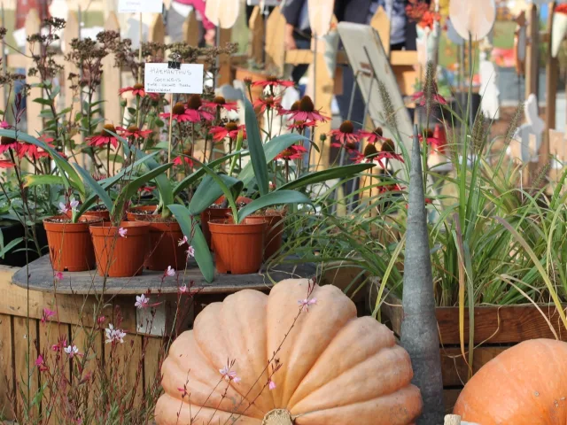 Tre giorni per il giardino in autunno