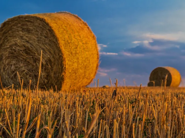 Macchine agricole, primo semestre in calo