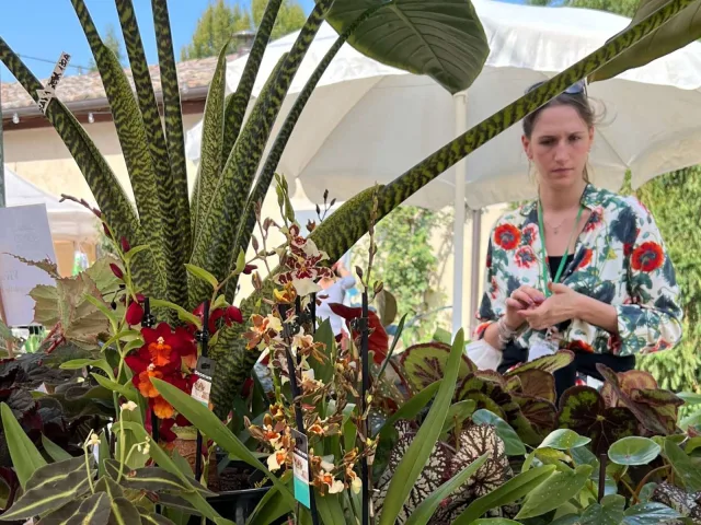 Sesta edizione autunnale per Borgo Plantarum