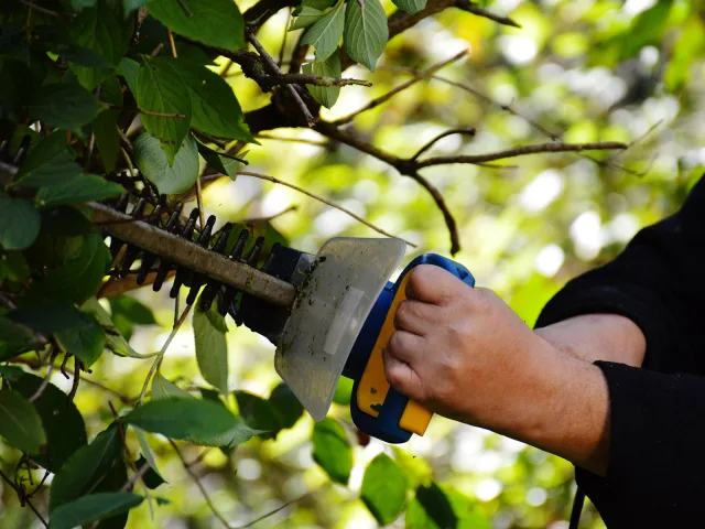Macchine per il garden, primo trimestre stabile