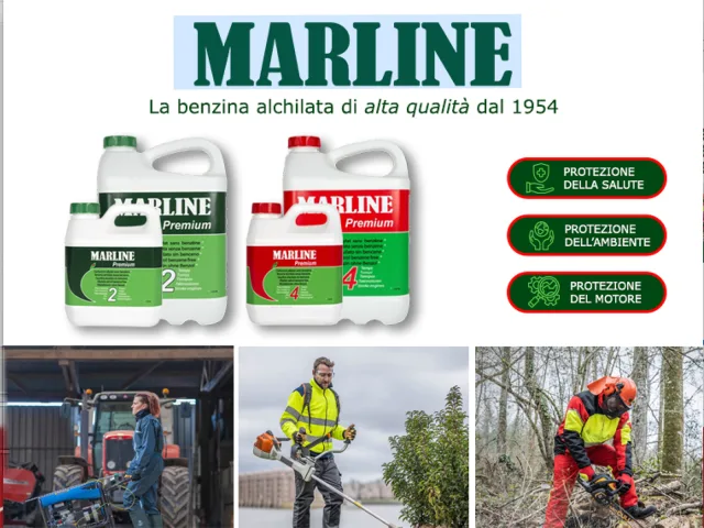 Olio Bio Aspen per catene e barre guida