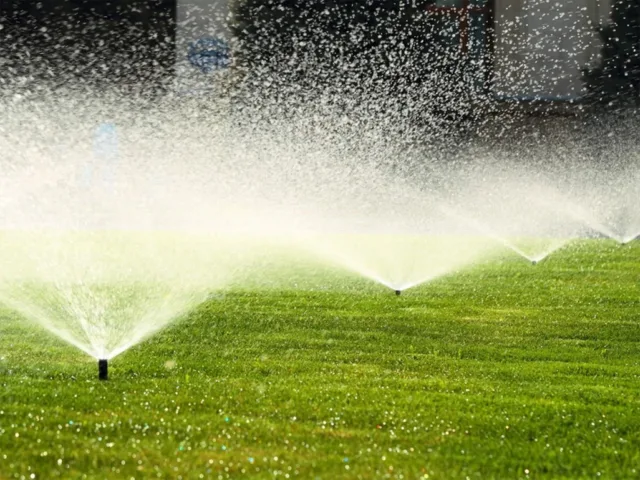 Prevenzione verde dei periodi di stress estivi
