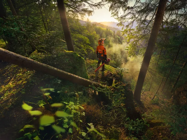 STIHL chiude con successo il 2025 e presenta ALLPRO